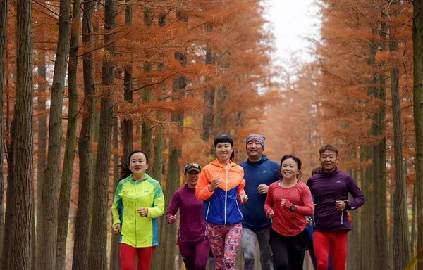 ky体育快乐运动 健康生活——成都青龙湖湿地公园休闲健身、体育运动浅析(图2)